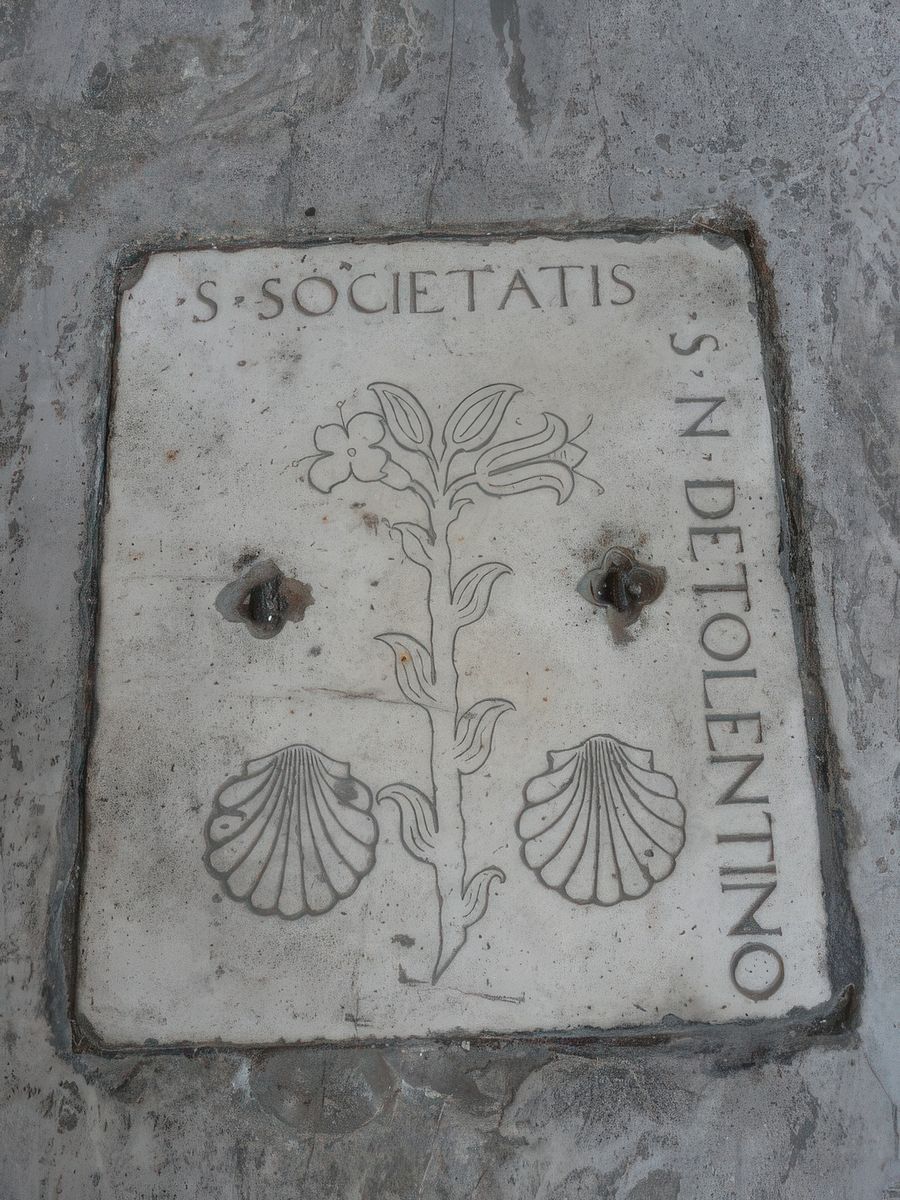 Coquilles Saint Jacques et fleurs.