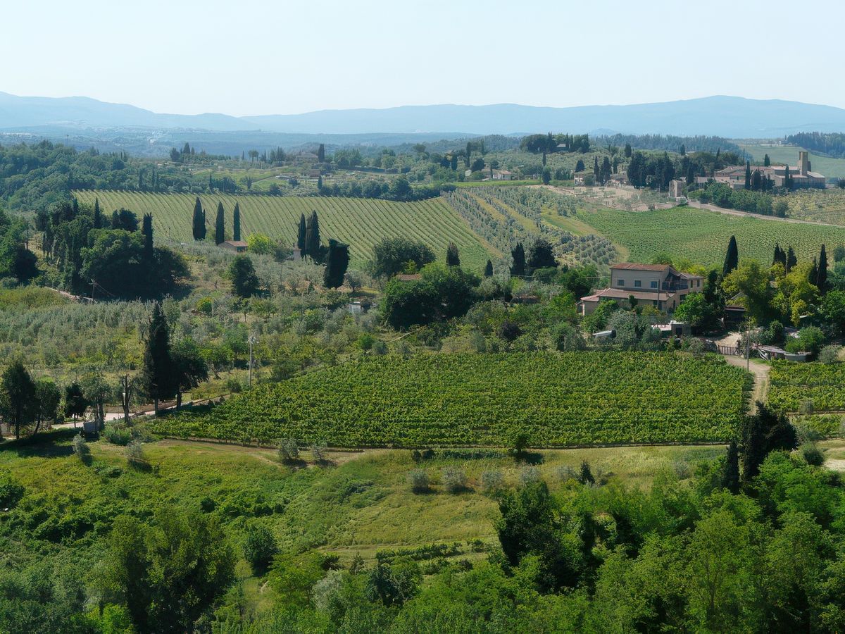 Paysage toscan autour de San Gimignano avec ses cyprès, ses oliveraies et ses vignes .