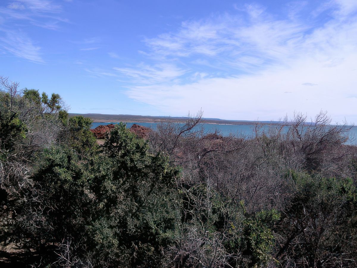 Punta Tombo est une étroite frange rocheuse de 3 km de long pour 600 m de large qui pénètre dans l'Océan Atlantique. Sur ce substrat on trouve de vastes zones de sable fin mais compacté, ce qui constitue un terrain idéal pour que les manchots puissent creuser leur nid. De vastes zones du sol sont littéralement minées de cavités de faible profondeur, où les manchots déposent chaque année leurs œufs et élèvent leurs poussins.