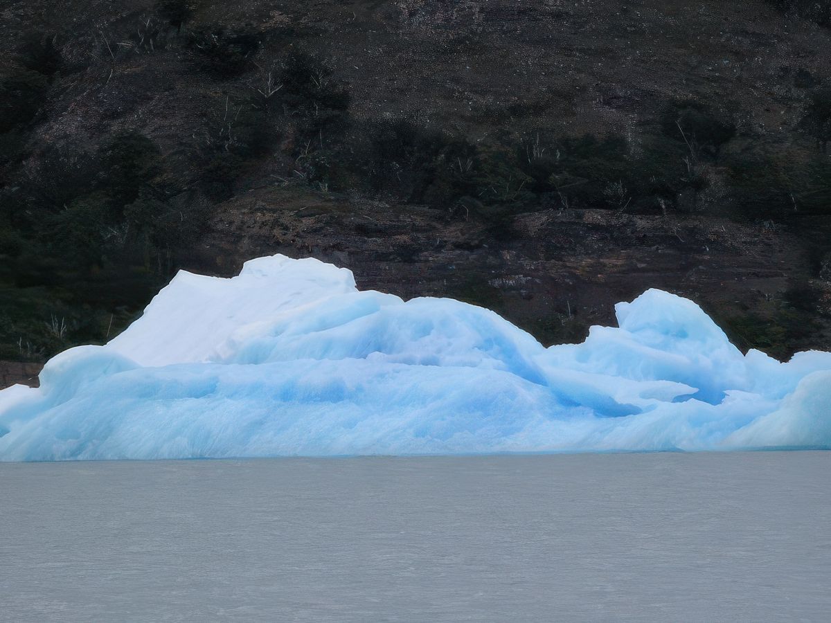Navigation entre glaciers et icebergs – Argentine