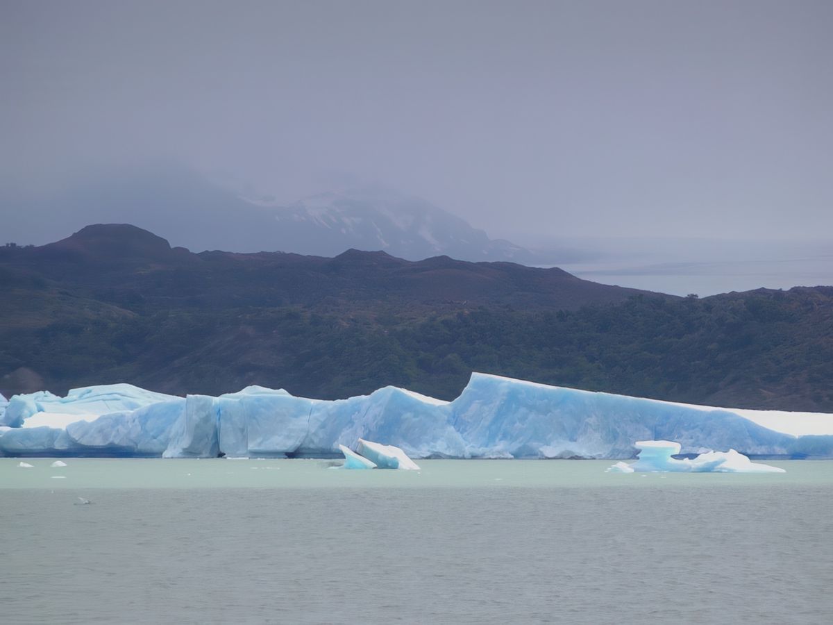 Navigation entre glaciers et icebergs – Argentine