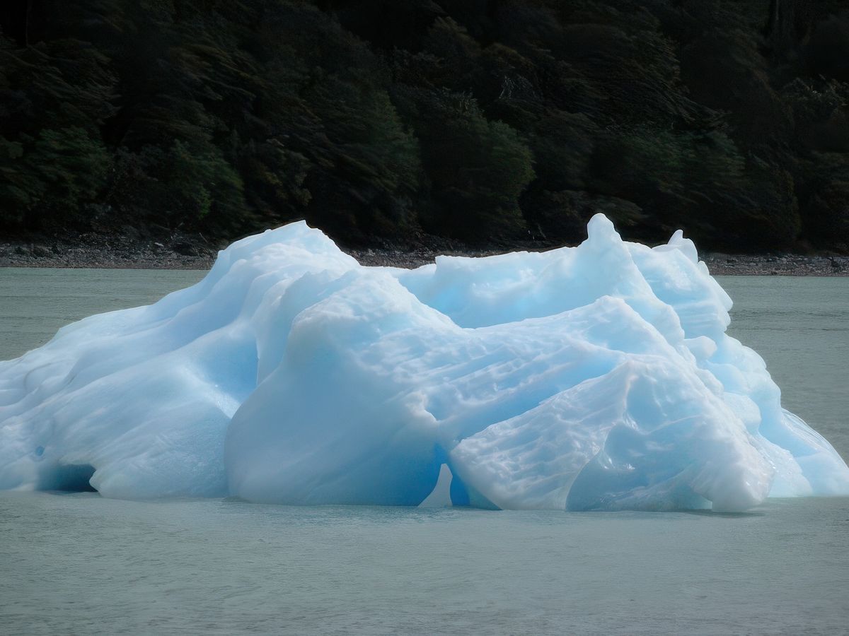 Navigation entre glaciers et icebergs – Argentine