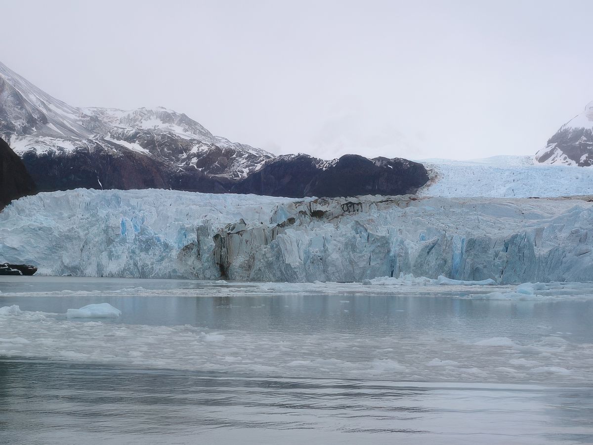 Le glacier Spegazzini doit son nom à Carlos Spegazzini, premier botaniste à venir étudier la flore locale.