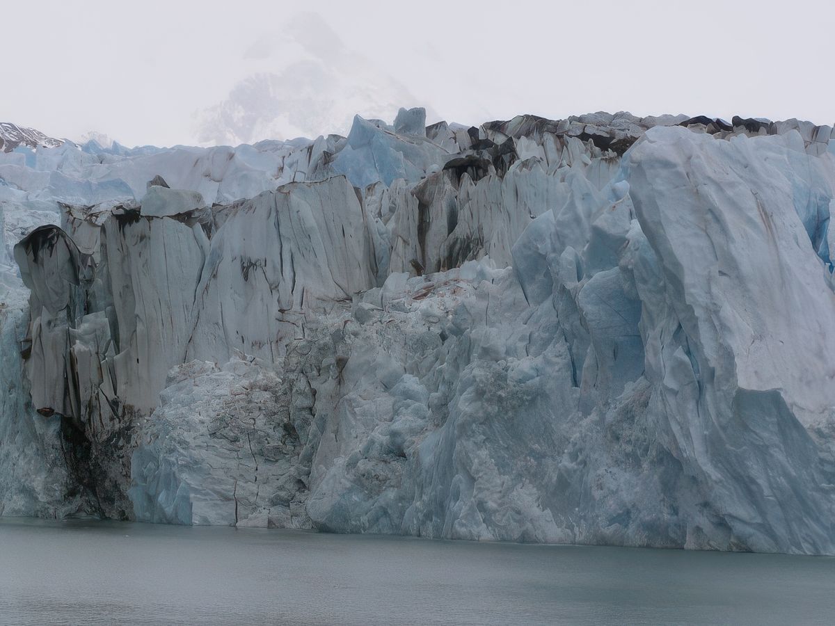 Navigation entre glaciers et icebergs – Argentine