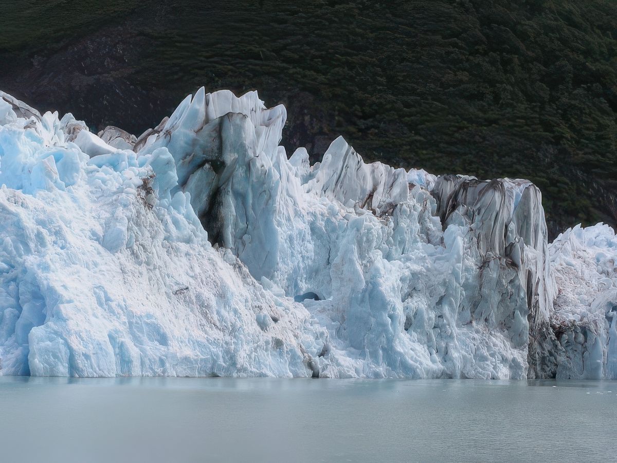 Navigation entre glaciers et icebergs – Argentine