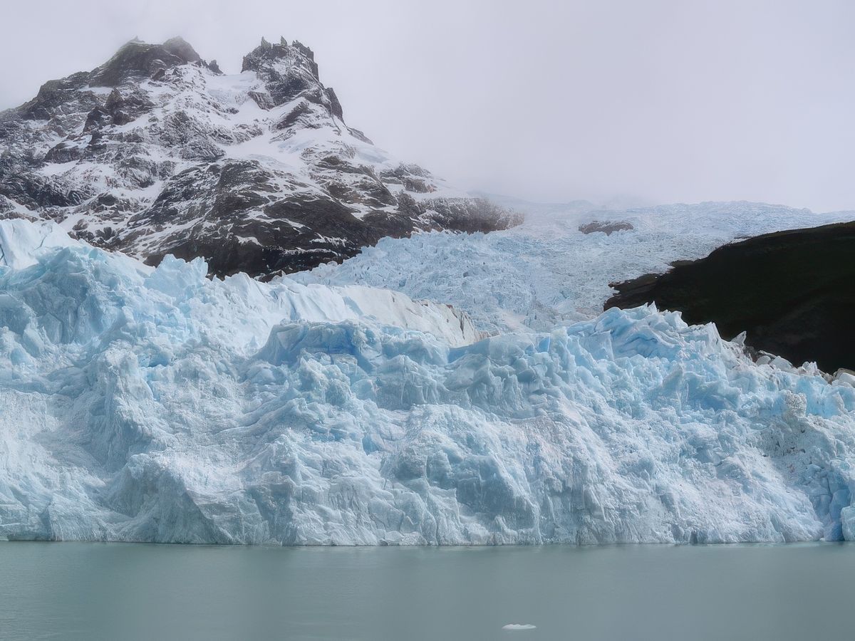 Navigation entre glaciers et icebergs – Argentine
