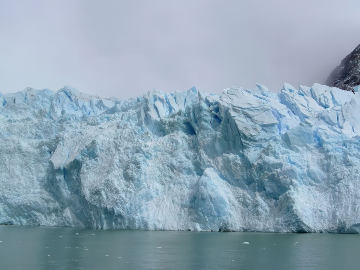 Navigation entre glaciers et icebergs – Argentine