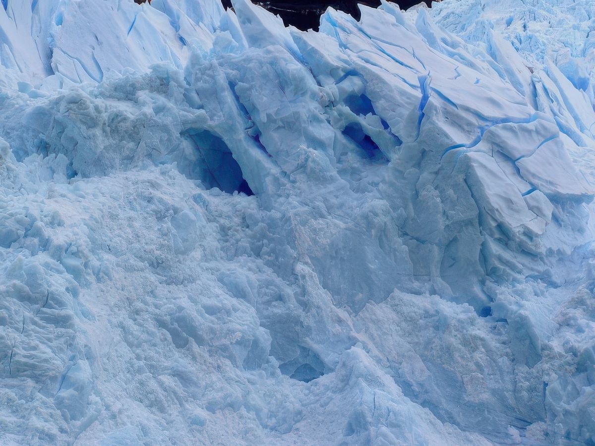 Navigation entre glaciers et icebergs – Argentine