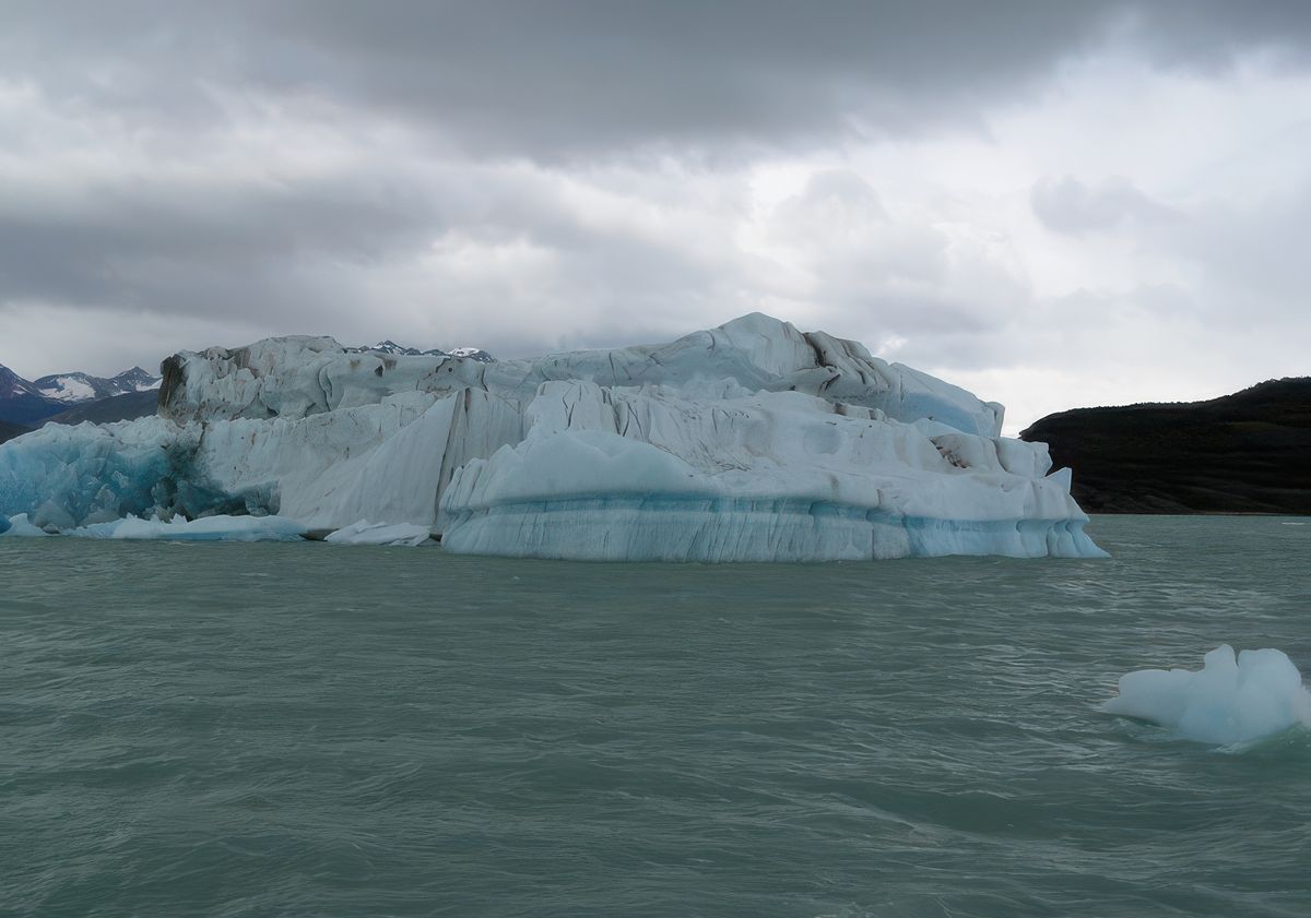 Rencontre avec des icebergs impressionnants!