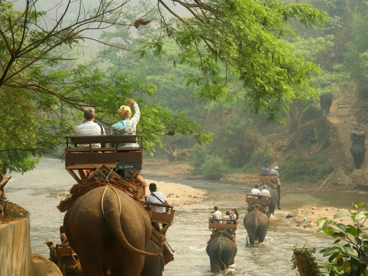 Les éléphants – Thaïlande