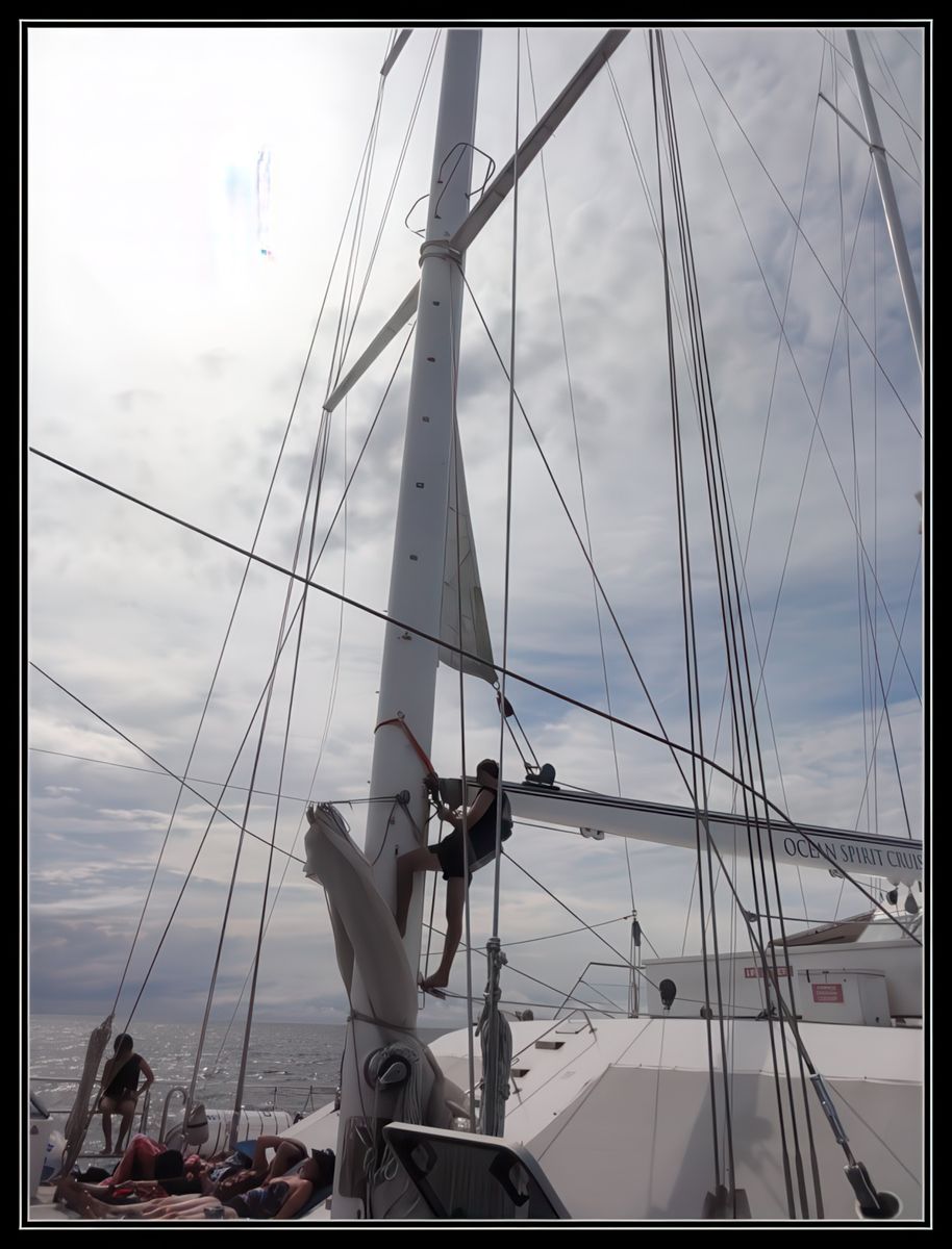 La Grande Barrière de Corail