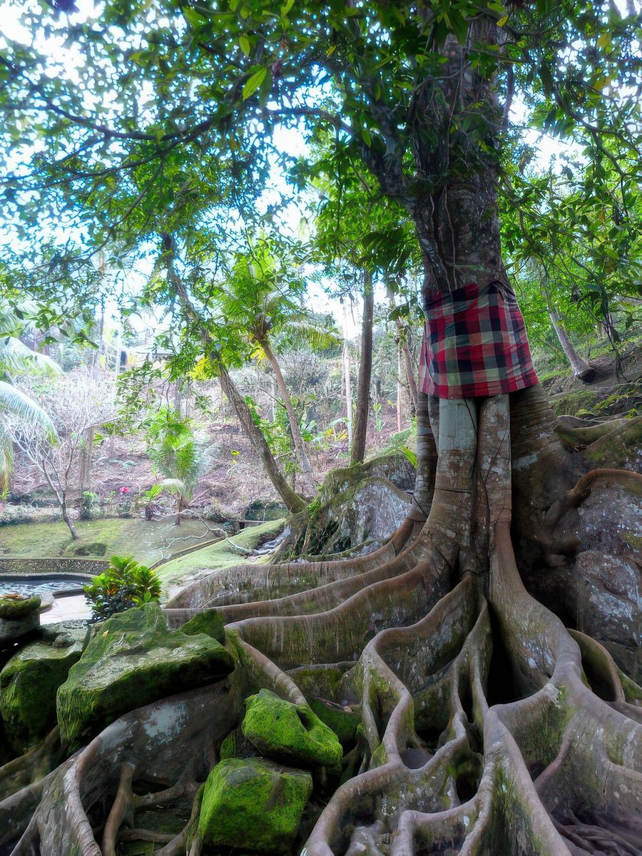 Goa Gajah
