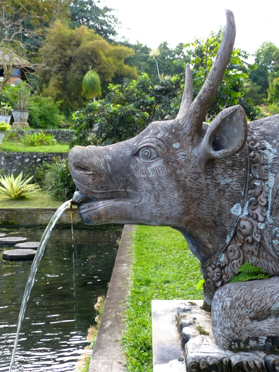 Le Water Palace de Tirtagangga