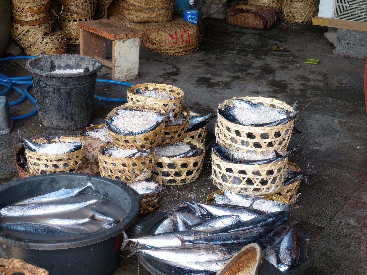 Salaison du poisson