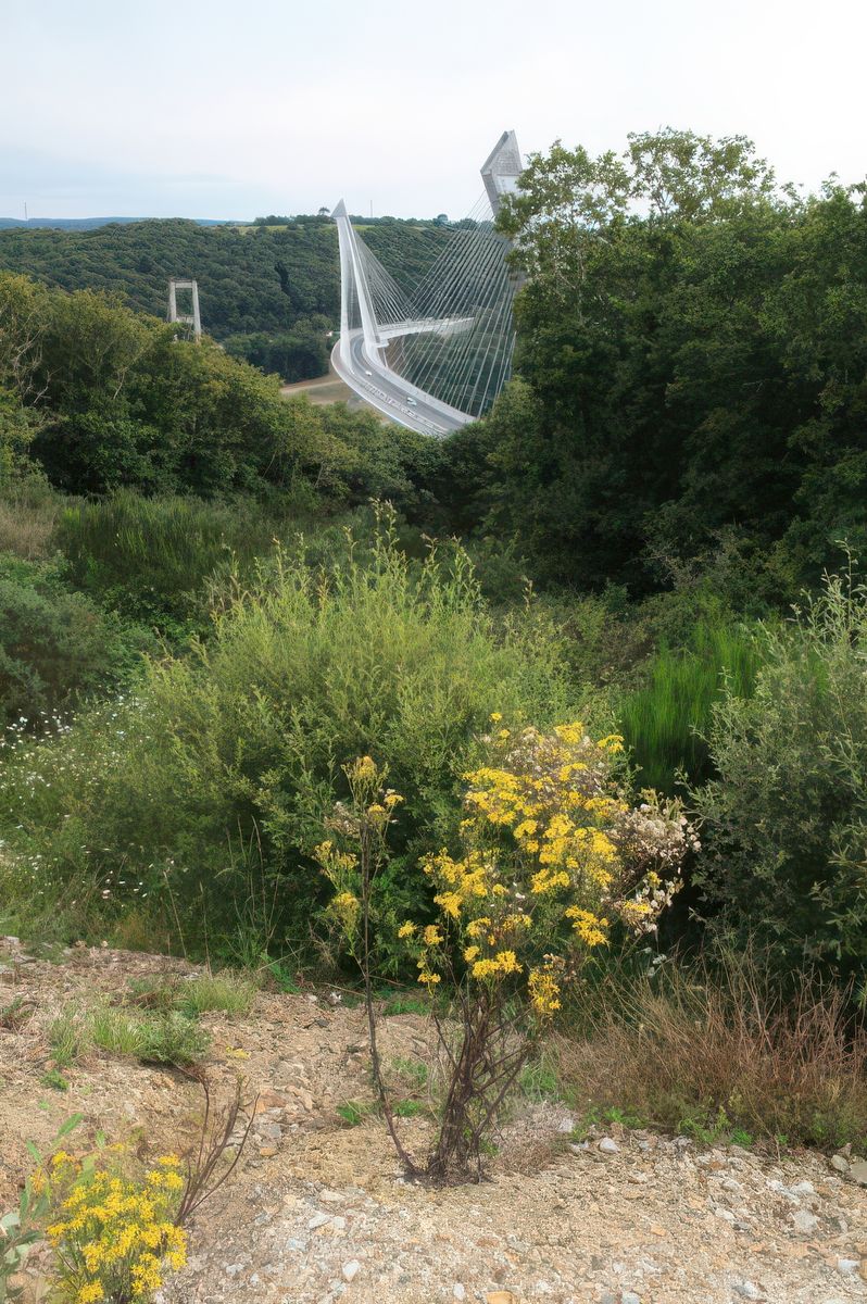 Le nouveau pont