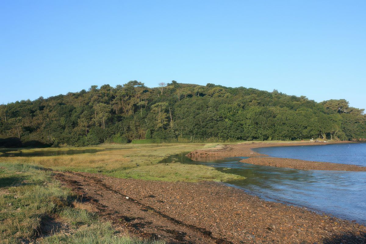 Petite grève sur la Rade de Brest