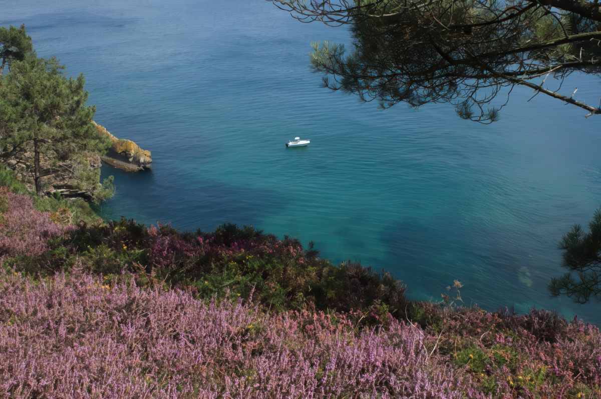 Entre Morgat et Cap de la Chèvre