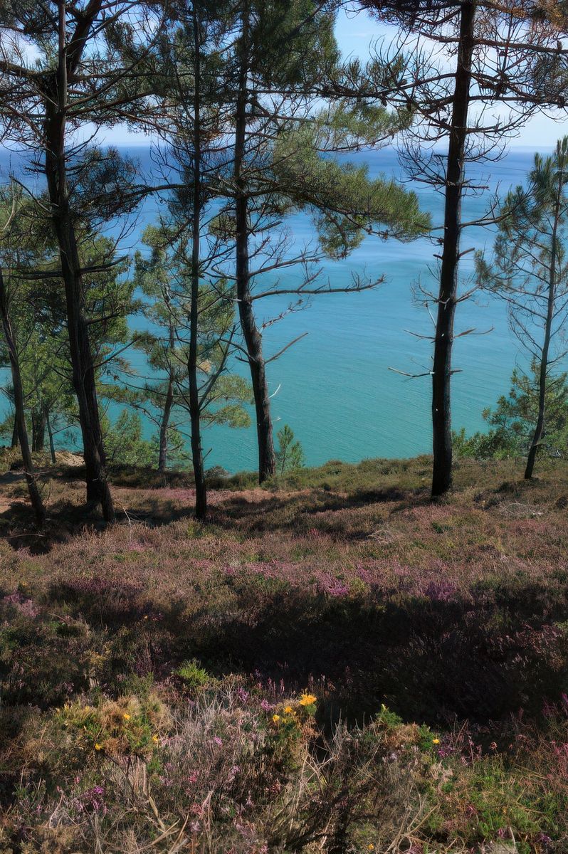 Le sentier passe en hauteur et surplombe la mer