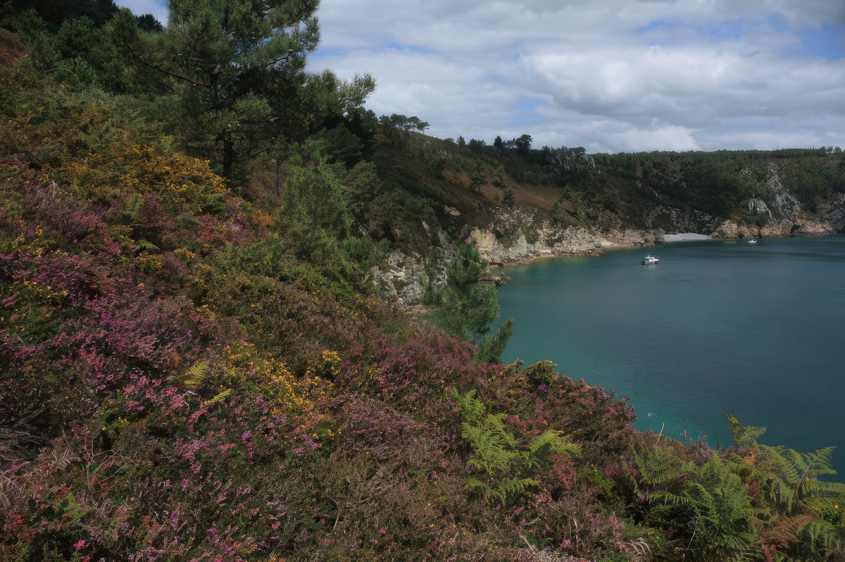 Le long du sentier