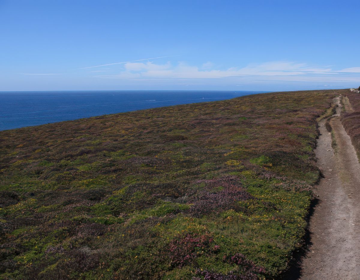 Efforts de la marche et repos de l'esprit dans ce caléidoscope de couleurs