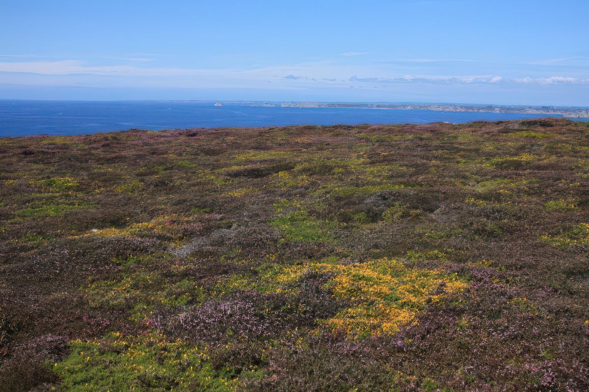 A l'horizon, les Tas de Pois