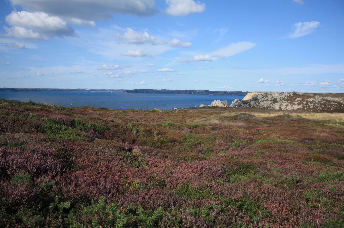 A la Pointe de Dinan