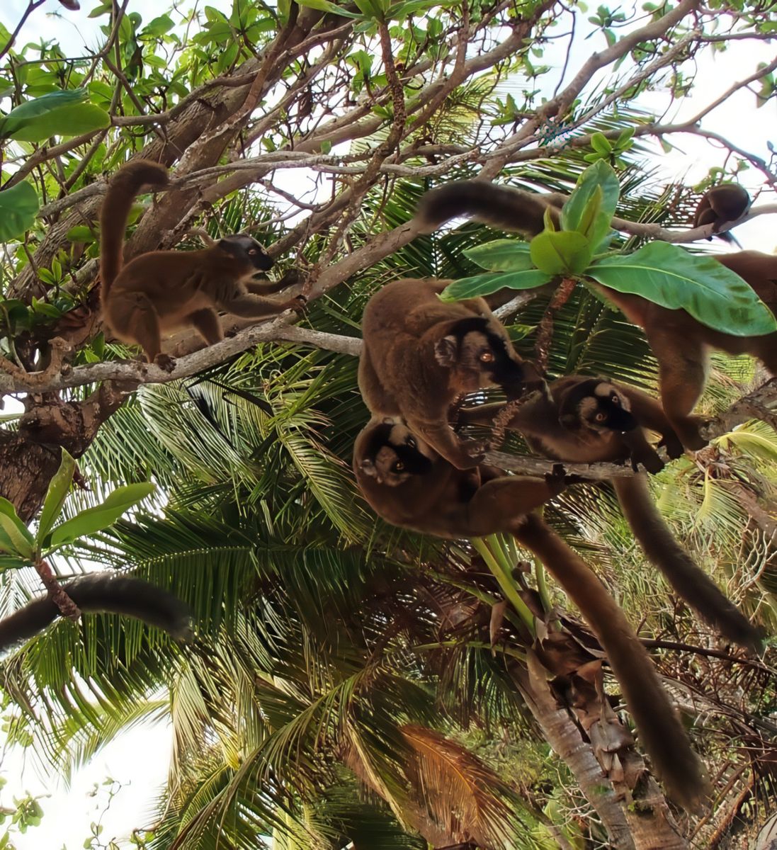 Une journée à N'Gouja – Mayotte