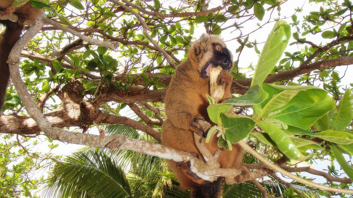 Une journée à N'Gouja – Mayotte