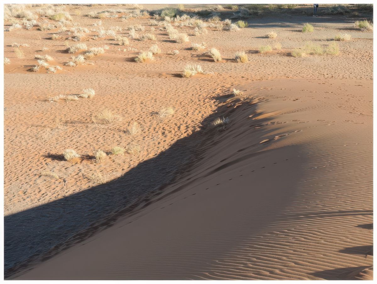 Le désert du Namib