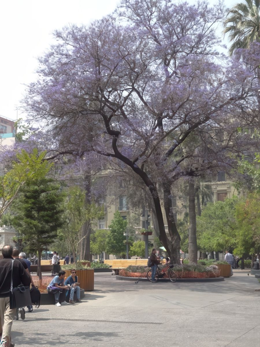 La plaza de armas, place principale de Santiago