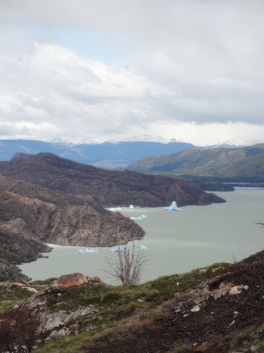 Le Lago Grey et ses icebergs