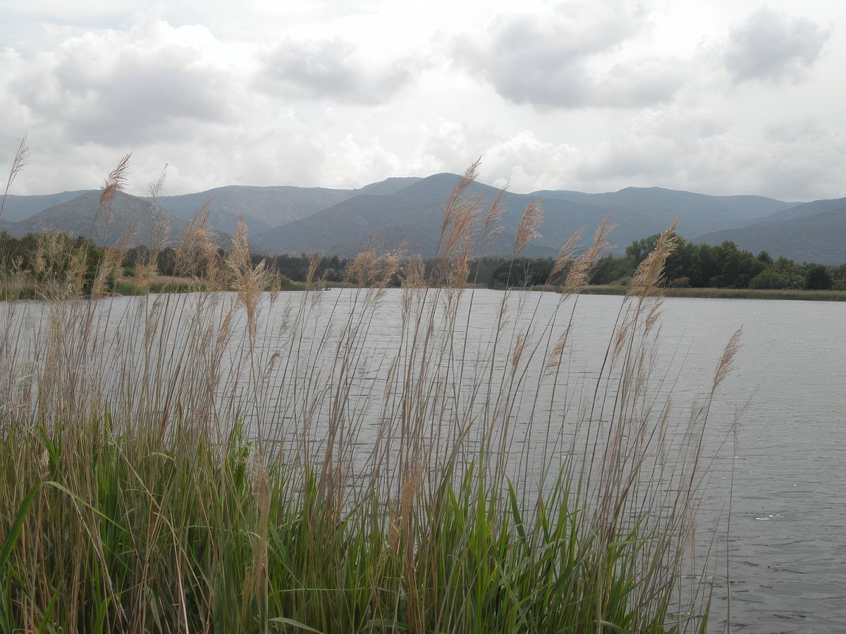 lac des Escarcets près du Muy