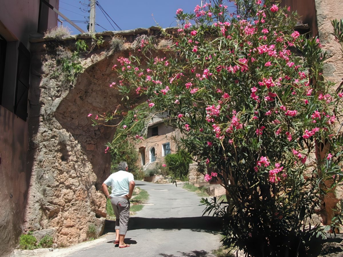 Cotignac : le mariage des vieilles pierres et des bougainvillers