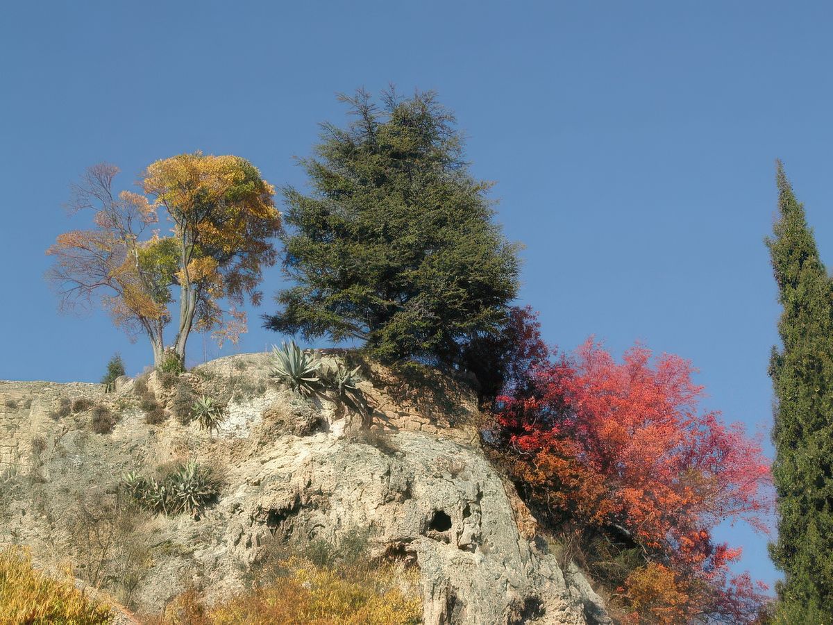 Quand les couleurs de l'automne éclatent sous le ciel d'azur