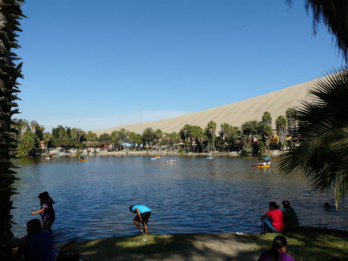 Oasis de Huacachina