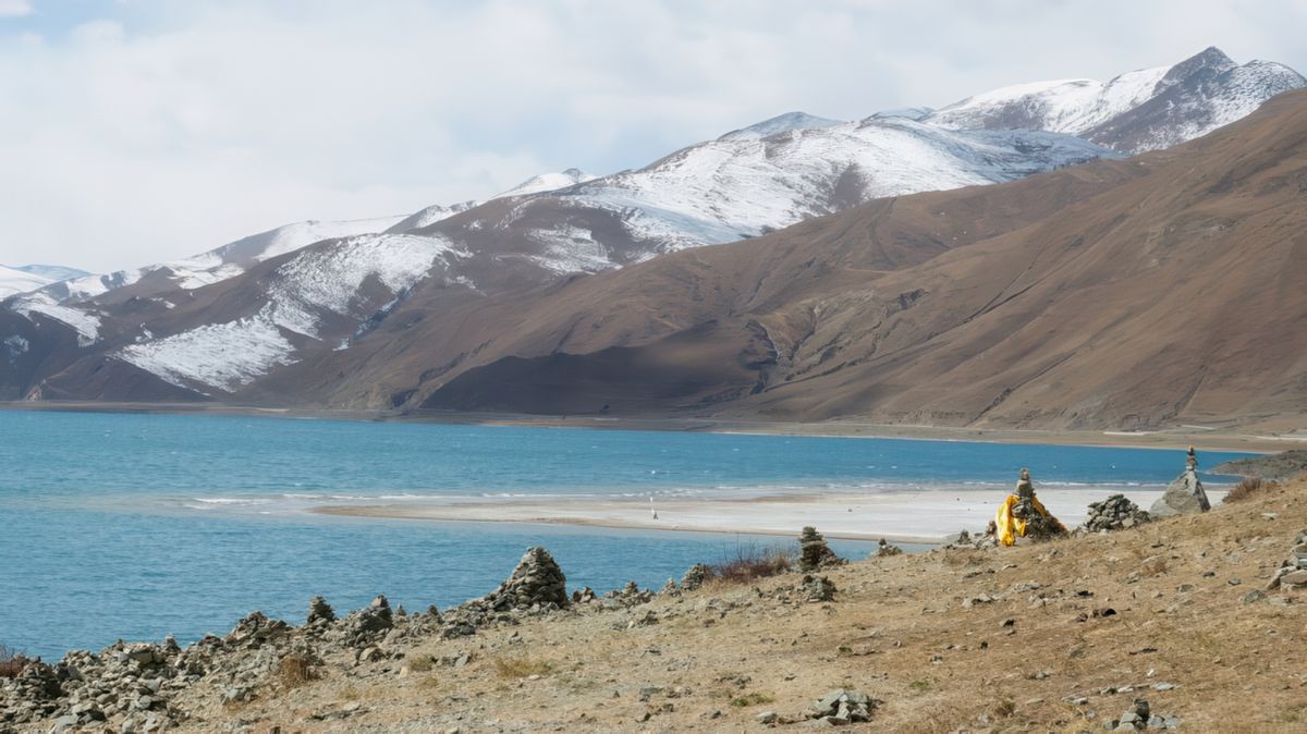 Le lac est une escale pour les oiseaux migrateurs. A la saison migratoire, les îles du lac Yamdrok-Tso, mais aussi les berges, sont entièrement recouvertes d'oiseaux et d'œufs, le lac prend alors vie au rythme de ces petits oiseaux.
