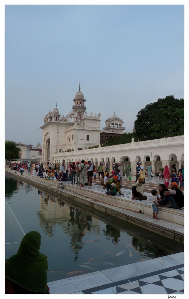 Des fidèles assis au bord de l’Amrit Sarovar (ou bassin "de Nectar") où nagent des carpes.