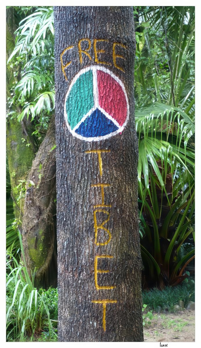 A l'entrée de l'Institut Norbulingka, "Tibet libre".