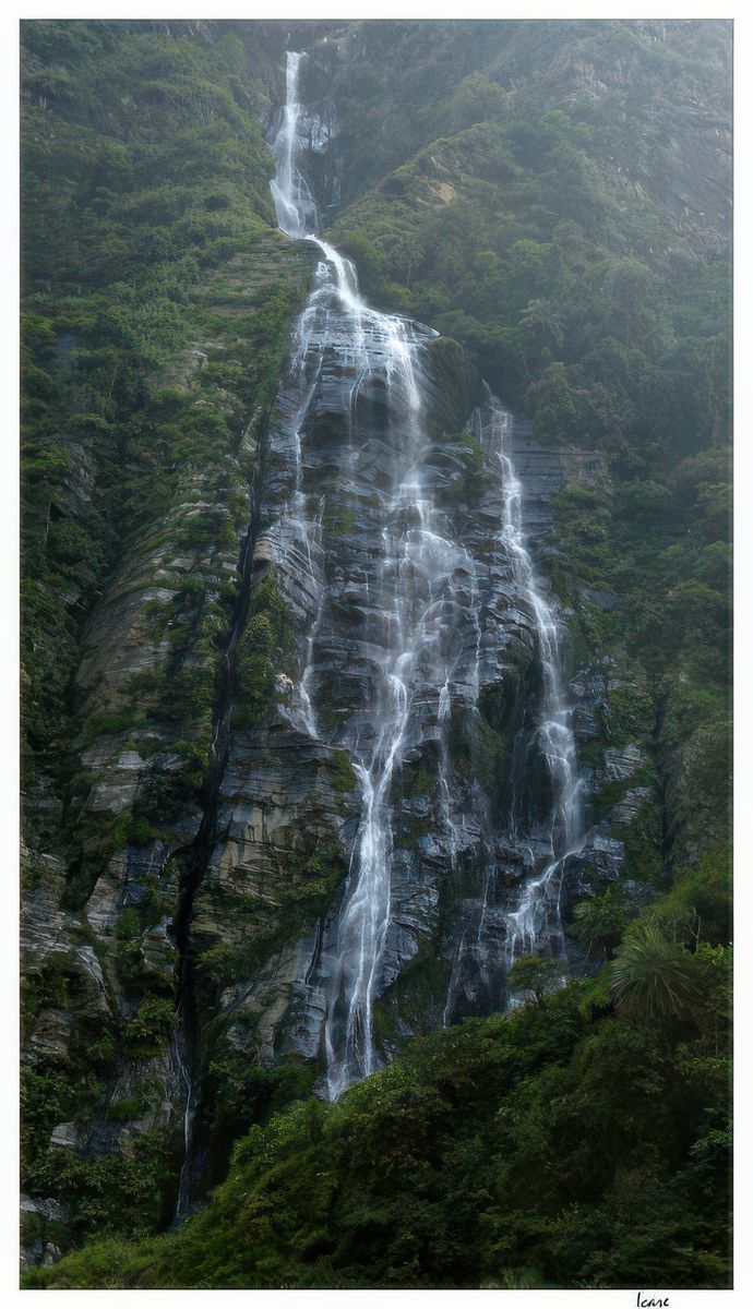 Mariage de l'eau et du végétal.