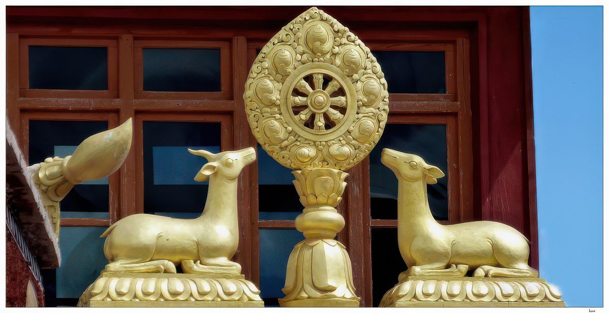 La Roue du Dharma entourée, à gauche, d'un daim et, à droite, d'une biche. Leur présence rappelle le premier sermon donné par le Bouddha à ses compagnons en présence de deux de ces animaux, dans le parc de Sarnah, près de Bénarès. la Roue du Dharma est un symbole représentant l'enseignement du Bouddha sur le chemin de l'éveil, depuis le début de la période du bouddhisme indien; c'est un des huit symboles auspicieux.