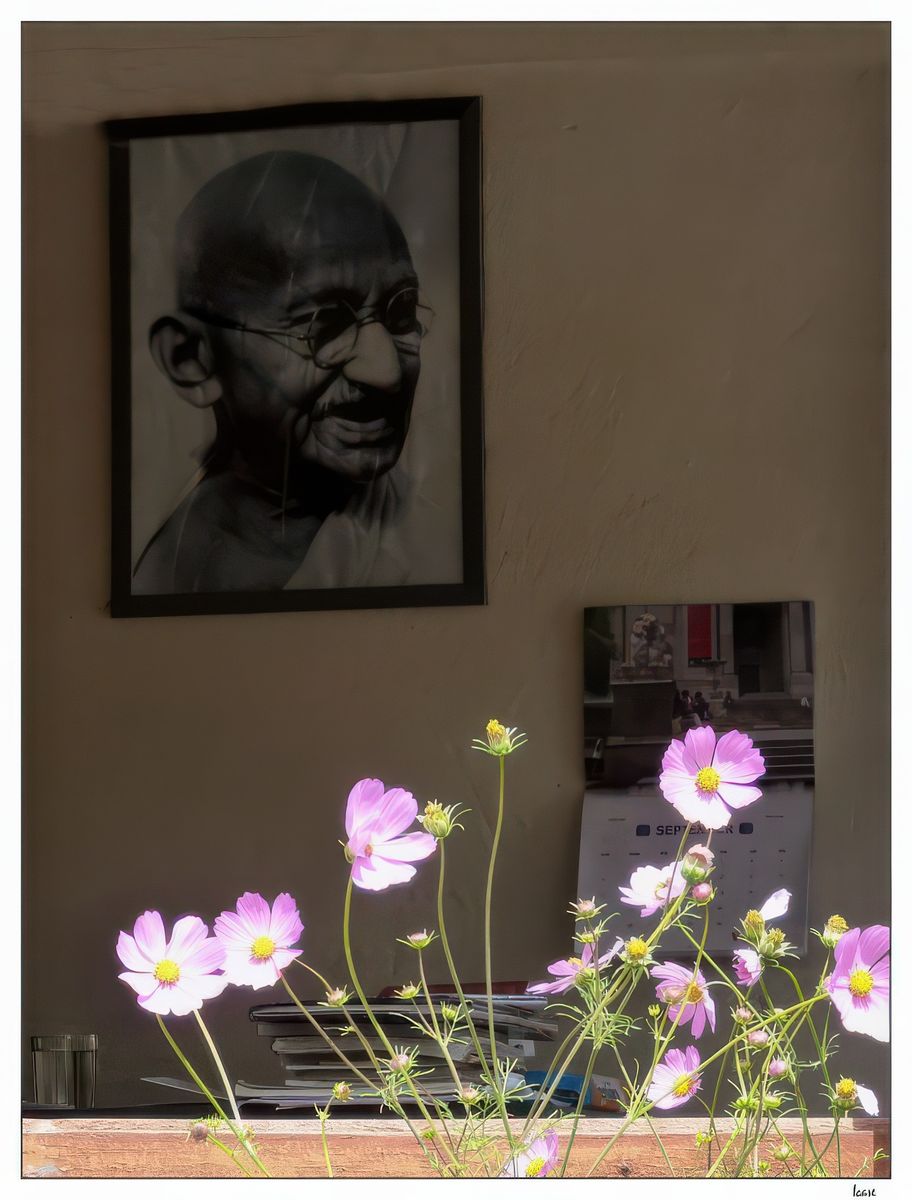 Sous la protection du dalaï-lama Tenzin Gyatso mais aussi du Mahatma Gandhi. La devise de l’école est: Come to learn, Go to serve (Venez apprendre, allez servir).