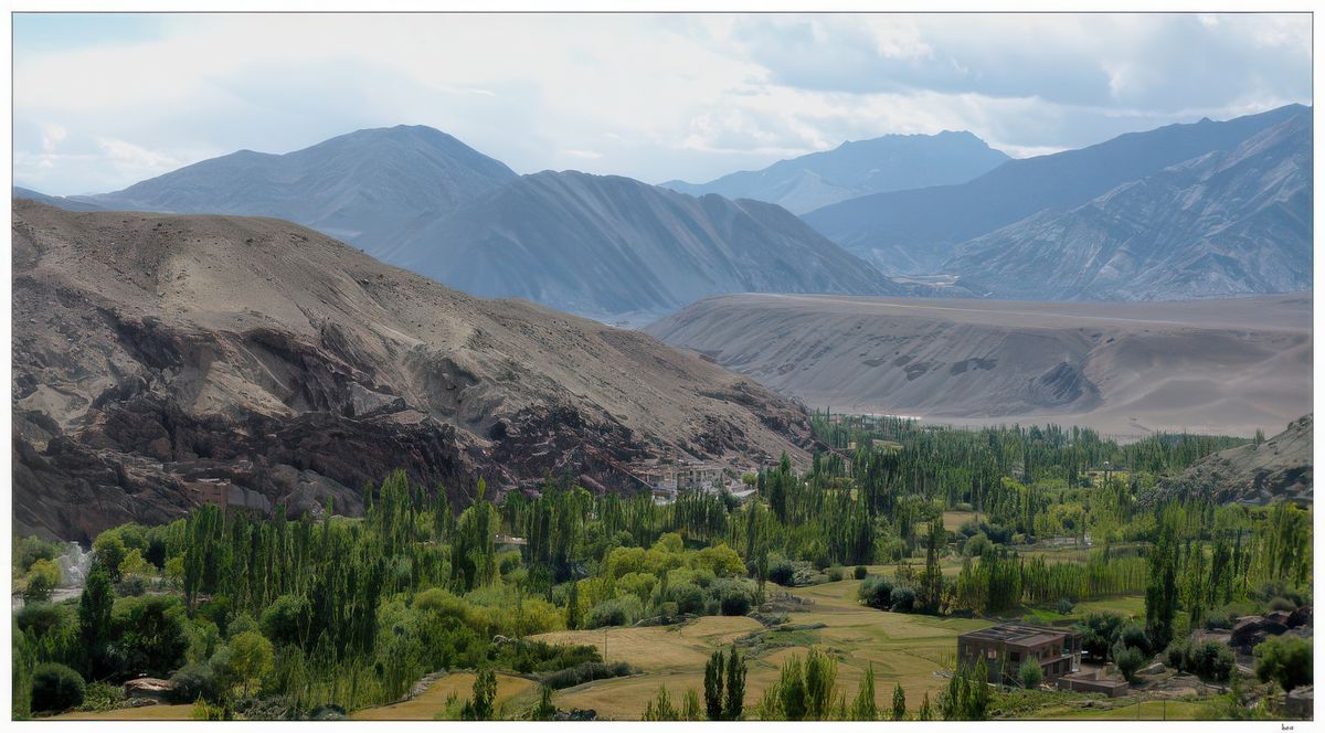 Dans cette région aride, les Ladakhis se sont installés le long de l'Indus et de ses affluents. Ils cultivent des petites parcelles d'orge, de blé et de luzerne.
