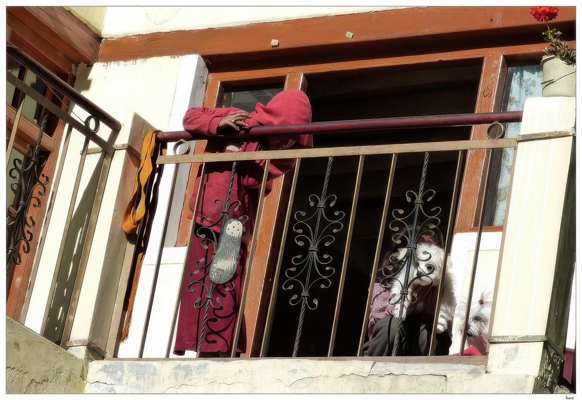 En levant la tête j'aperçois des chiens Lhassa Apso tenus par des fillettes, compagnons de jeux sans doute.