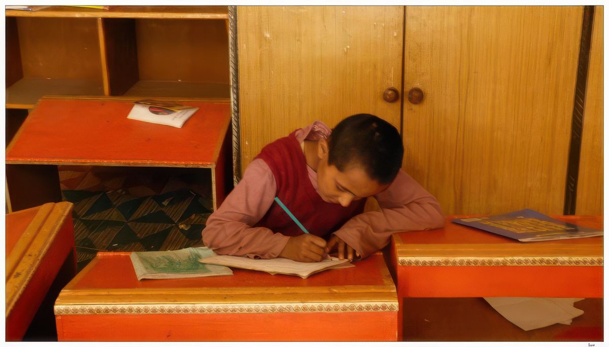 Les fillettes étudient jusqu'à l'âge de 16 ans; les plus douées poursuivent leurs études à Dharamsala ou dans le sud de l'Inde.