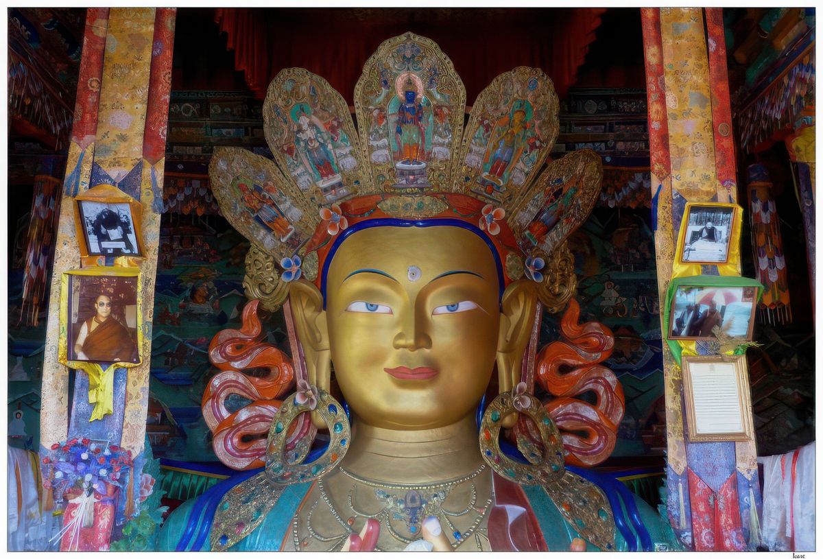 La particularité de Maitreya est qu'il est en position du lotus, assis sur cette fleur, généralement il est représenté debout ou assis sur un siège. La statue de 12 mètres de hauteur, sur deux étages, ne permet pas de la voir en entier.