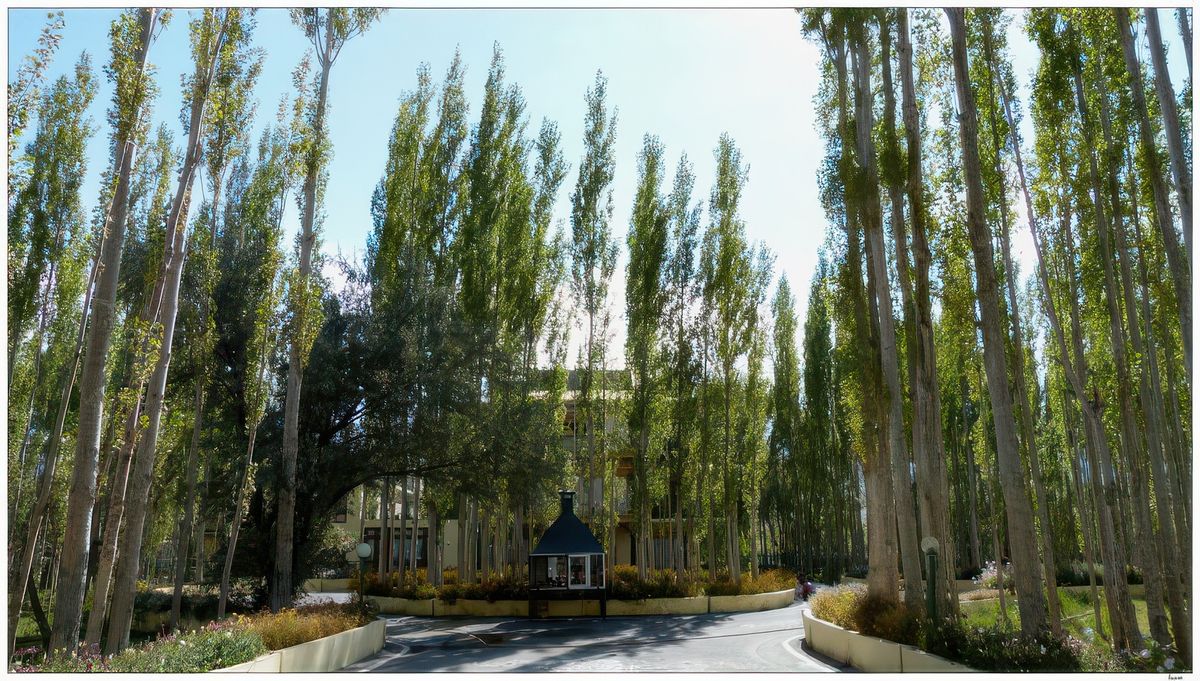 La résidence d'été du dalaï-lama, lorsqu'il vient au Ladakh, est située dans un grand parc ombragé.