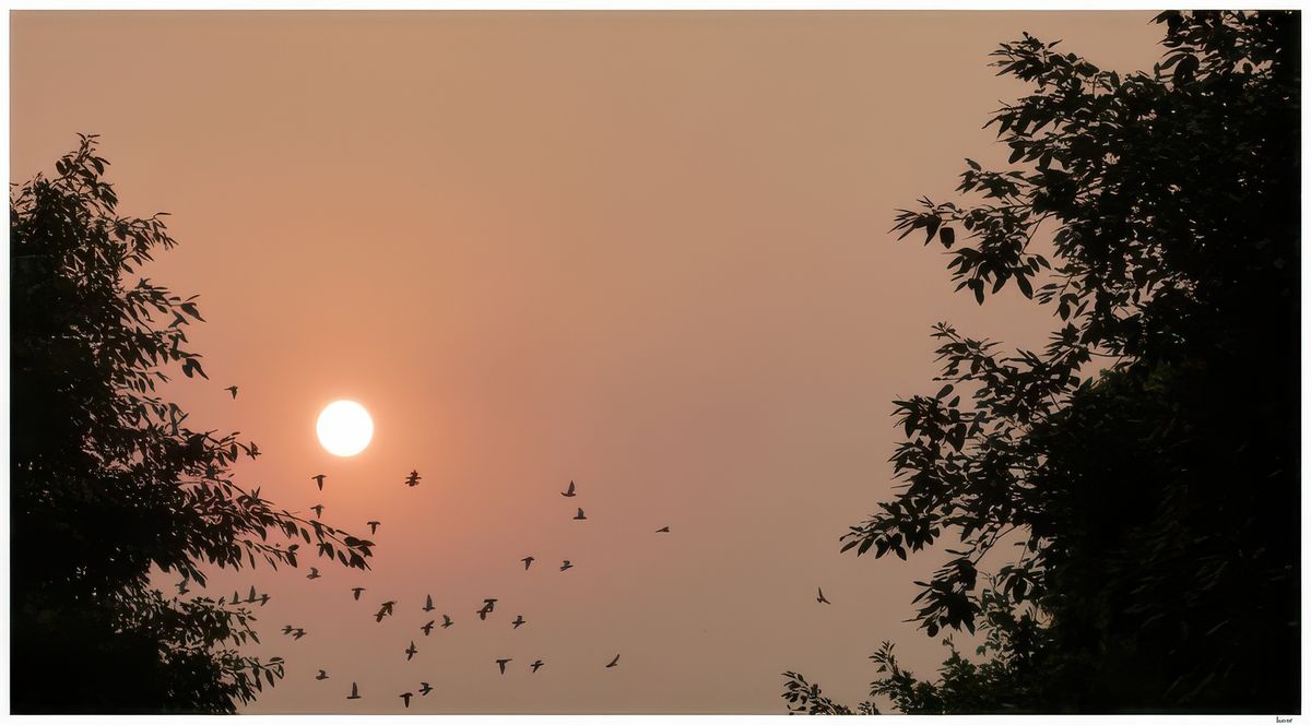 C'est en fin de journée qu'il faut venir pour profiter de la douce lumière et du coucher de soleil.