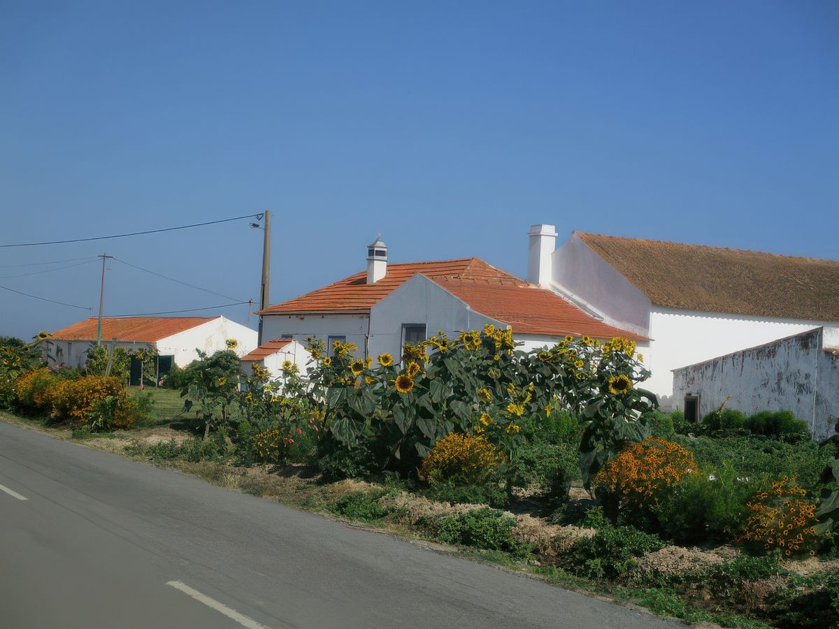 Maisons typiques près de la côte atlantique.