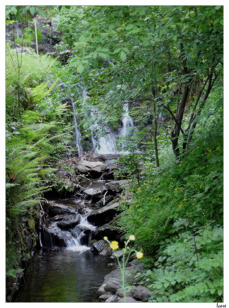 La rivière, la Mousse, passe à côté de la maison.
