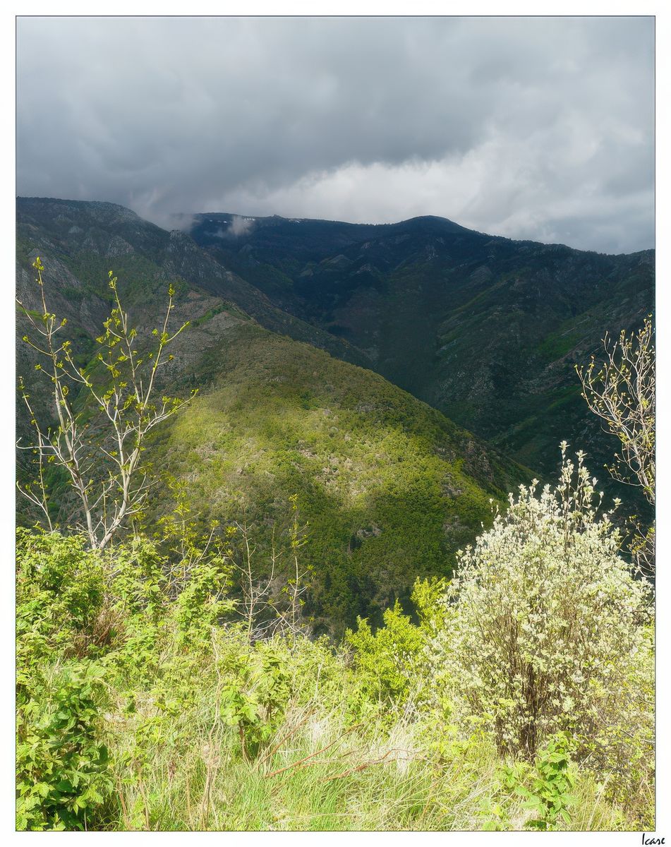 Le Mont Aigoual, sorte de montagne sacrée des Cévennes, que André Chamson appelait "cette coupole d'herbes rases", et dont la tombe se trouve sur l'un des versants de l'Aigoual.